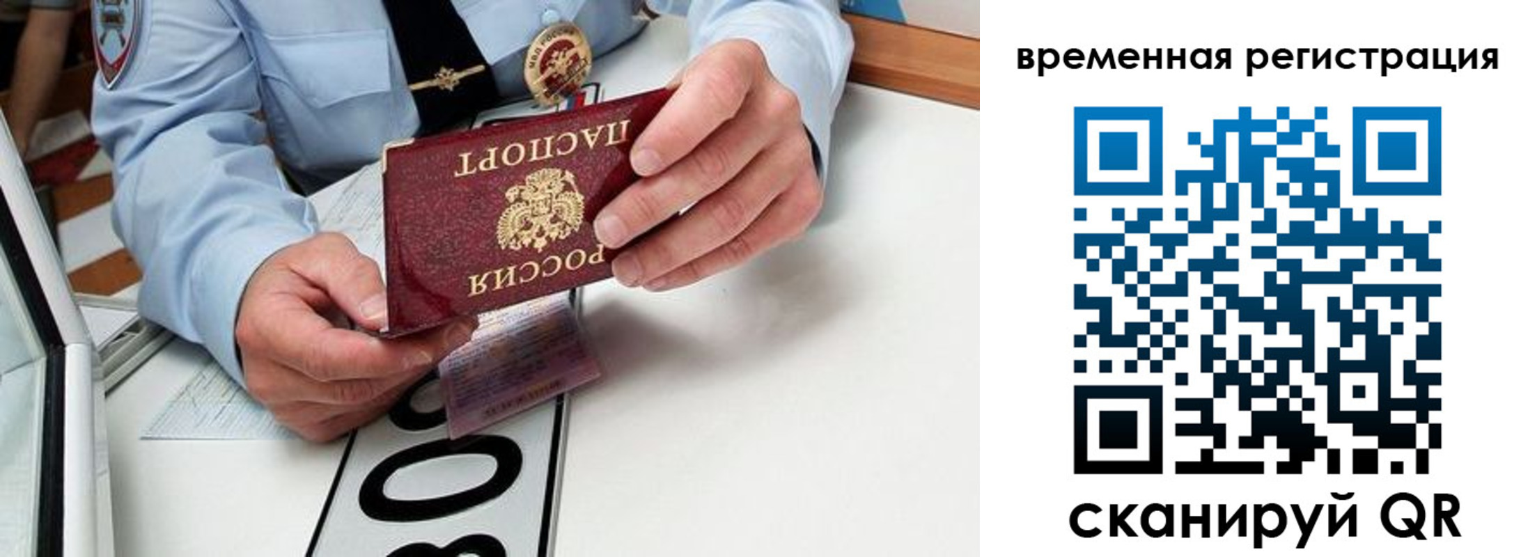 прописка гарантия в Михайлове